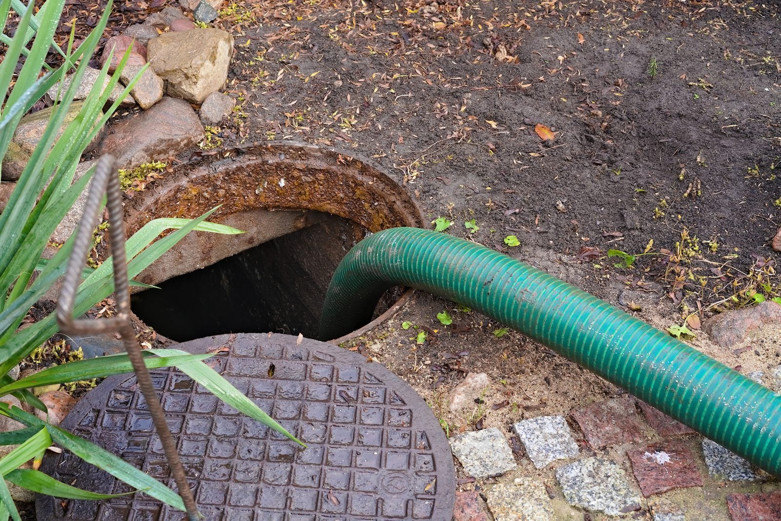 Open septic tank access lid with pump hose in yard